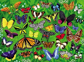 Пазл - Бабочки из серии 36 Животных, 300 деталей (Crocodile Creek, 4067-9)